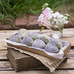 《原子之心》“魅魔冰箱”主题XSX主机 限量一台只抽不卖